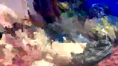 Snapshot of sharoc666 chatting on 03/22/26, 12:58 Shamroc online show from 03/22/26, 12:58