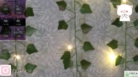 shawty_vi online show from 02/03/25, 08:13