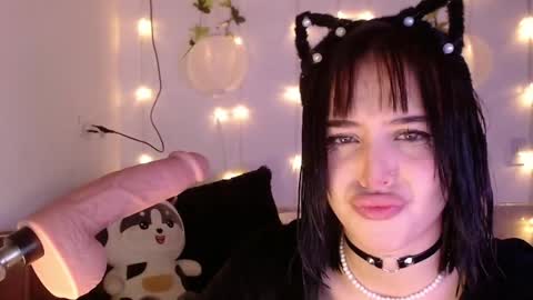 Snapshot of shayla_bbs chatting on 12/03/24, 11:33 Shayla 3 online show from 12/03/24, 11:33