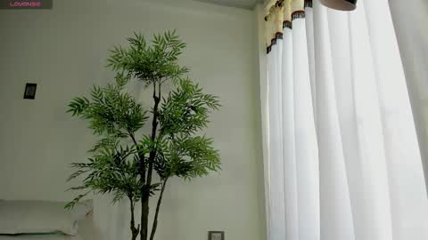 shazam online show from 12/17/25, 01:28