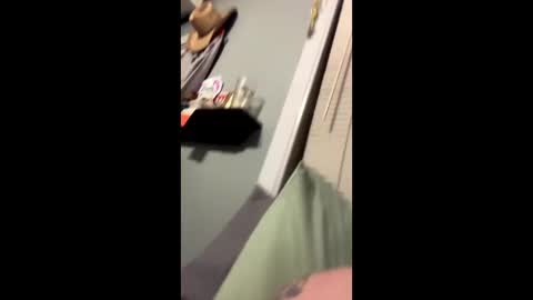 sheepydoggy45 online show from 01/02/25, 09:39