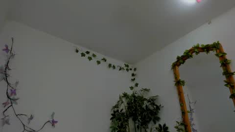 Snapshot of shegoblake chatting on 07/06/26, 12:18 Shego online show from 07/06/26, 12:18