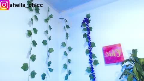 Snapshot of sheila_bigcok chatting on 12/09/24, 07:39 SHEILA  online show from 12/09/24, 07:39