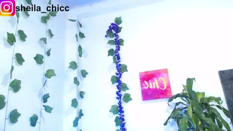 Snapshot of sheila_bigcok chatting on 12/09/24, 10:52 SHEILA  online show from 12/09/24, 10:52