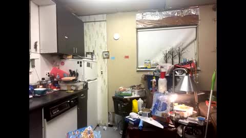 Shelby holes online show from 12/09/24, 08:00