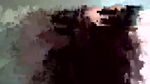 Snapshot of shelfeesh chatting on 11/18/25, 09:36 shelfeesh online show from 11/18/25, 09:36