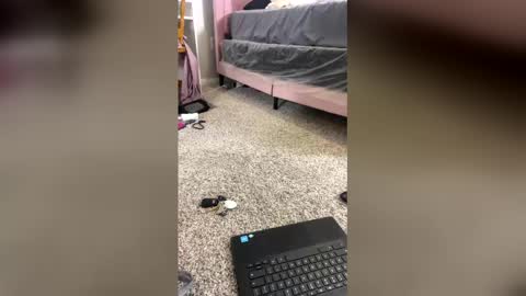 Snapshot of sheliaaverette chatting on 12/20/25, 01:56 Shelia Averette online show from 12/20/25, 01:56