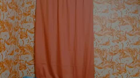 Snapshot of shelikessoymilk chatting on 12/19/24, 01:28 Erika online show from 12/19/24, 01:28