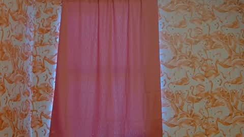 Snapshot of shelikessoymilk chatting on 12/25/24, 08:39 Erika online show from 12/25/24, 08:39