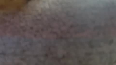 Snapshot of shelikessoymilk chatting on 02/25/25, 09:24 Erika online show from 02/25/25, 09:24