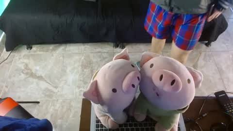 Snapshot of shinobi_grey chatting on 01/24/25, 03:55  .. shinobi .. online show from 01/24/25, 03:55