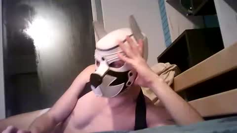 Snapshot of shirogane2004 chatting on 01/07/26, 08:00 shirogane2004 online show from 01/07/26, 08:00