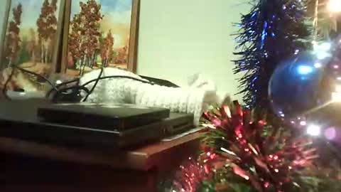 Snapshot of shirogane2004 chatting on 01/09/26, 07:15 shirogane2004 online show from 01/09/26, 07:15