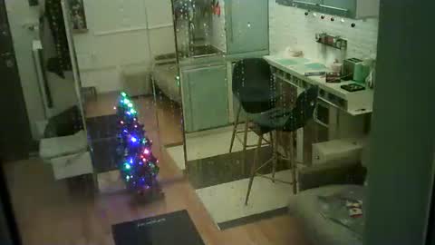 Snapshot of shirogane2004 chatting on 01/10/26, 07:37 shirogane2004 online show from 01/10/26, 07:37