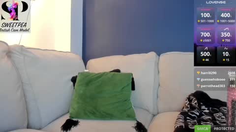 Snapshot of short_sweetpea chatting on 12/09/24, 08:54 short sweetpea online show from 12/09/24, 08:54