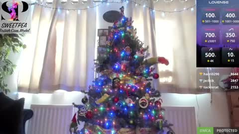 Snapshot of short_sweetpea chatting on 12/14/24, 01:16 short sweetpea online show from 12/14/24, 01:16