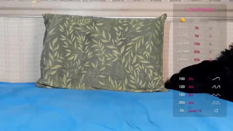 Snapshot of shottan chatting on 03/01/25, 07:04 Oleg online show from 03/01/25, 07:04