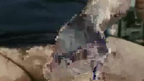 Snapshot of showsme chatting on 09/22/25, 12:07 showsme online show from 09/22/25, 12:07