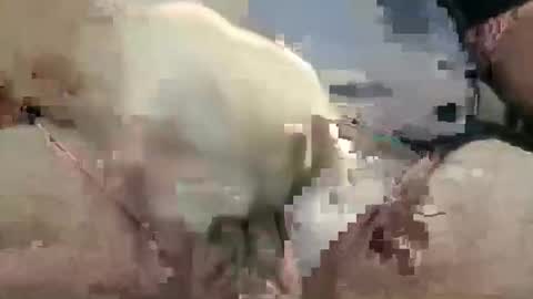 Snapshot of showsme chatting on 10/28/25, 10:52 showsme online show from 10/28/25, 10:52