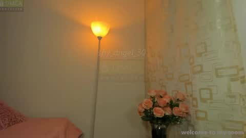 Snapshot of shy_angel_30 chatting on 08/04/26, 06:21 Angel online show from 08/04/26, 06:21