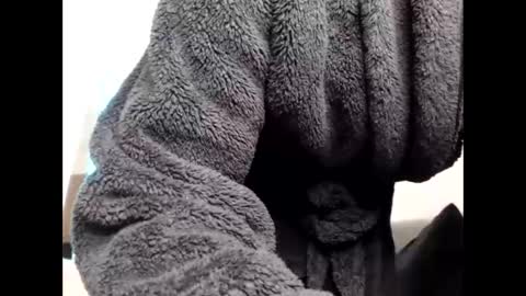 Snapshot of shy_baddie chatting on 03/06/26, 06:48 Sheril online show from 03/06/26, 06:48