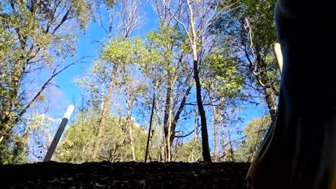 Aurora Wolfe  Shy College Girl  Top 16 of all OF Creators online show from 01/11/25, 11:13