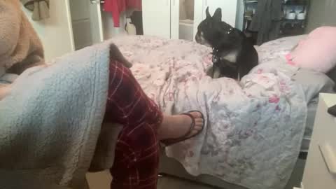 Snapshot of shyboy0533 chatting on 11/03/25, 10:49 shyboy0533 online show from 11/03/25, 10:49