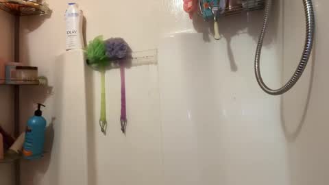 Snapshot of shyg1r1 chatting on 01/01/25, 10:56 Sasha online show from 01/01/25, 10:56