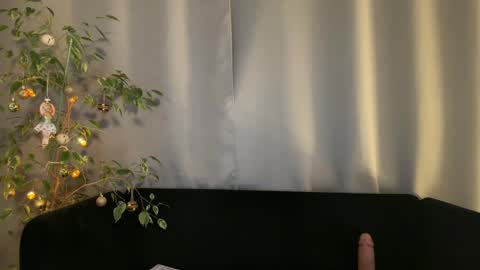 Amelia online show from 12/23/24, 10:12