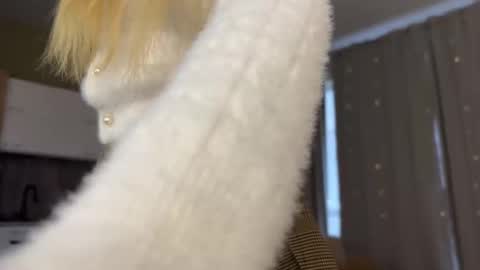 Aurora online show from 10/12/25, 06:23