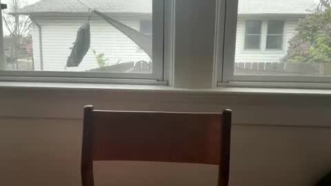 sie273 online show from 04/11/26, 06:45