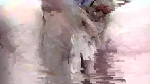 Snapshot of sigmaelixer chatting on 09/29/25, 09:08 sigmaelixer online show from 09/29/25, 09:08