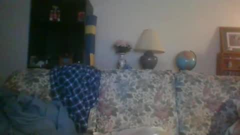 silverfunfox online show from 12/29/24, 12:23