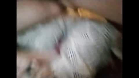 sinbook611 online show from 10/23/25, 10:58