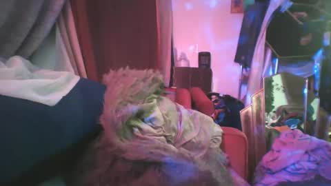 Siofra online show from 02/24/25, 02:19