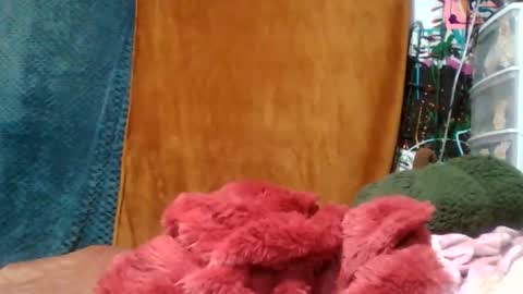 Siofra online show from 11/16/25, 04:51