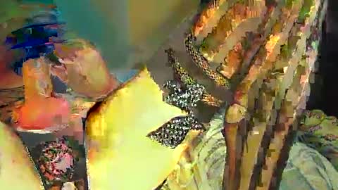 Sir Loin online show from 02/20/25, 05:07