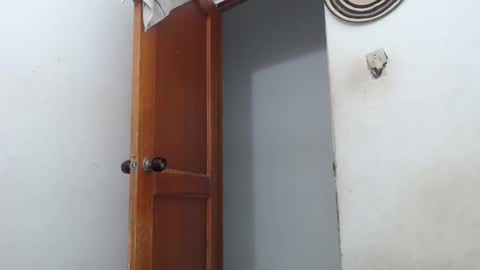 sirajones online show from 03/02/25, 02:30