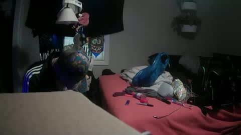 Snapshot of sirarchabalthe3rd chatting on 03/09/25, 07:37 Danny skiff online show from 03/09/25, 07:37