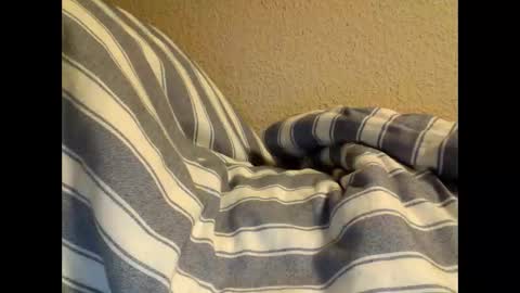 Snapshot of sircamalot45 chatting on 02/17/25, 01:36 sircamalot45 online show from 02/17/25, 01:36