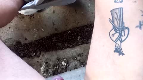 Snapshot of siren666777 chatting on 09/17/25, 11:45 siren666777 online show from 09/17/25, 11:45