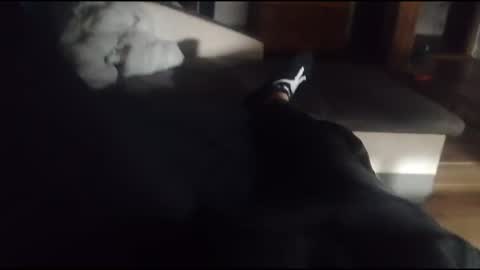 Snapshot of siren666777 chatting on 10/16/25, 05:36 siren666777 online show from 10/16/25, 05:36