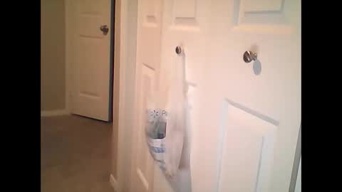 Snapshot of sirenofsin2002 chatting on 01/17/25, 11:40 sirenofsin2002 online show from 01/17/25, 11:40