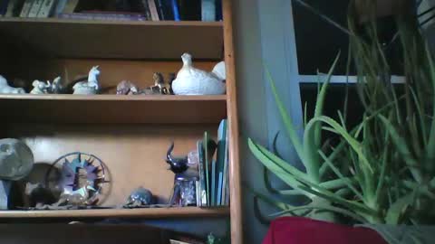 sirlicksaclit online show from 01/14/25, 03:01