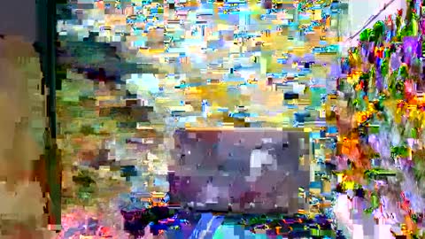 SIR RYANT online show from 02/08/25, 08:10