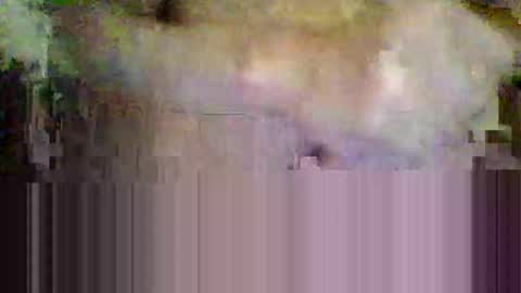 sisinyedz0000 online show from 02/04/26, 05:41