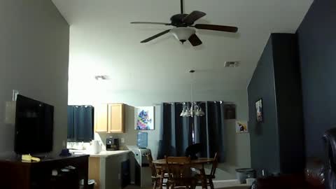 sissforyou online show from 03/04/25, 10:24