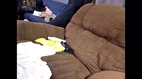 sissyboi124995 online show from 04/11/26, 07:51