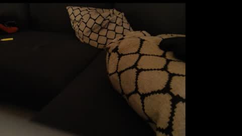 sissygirlalexandra online show from 01/26/25, 01:31