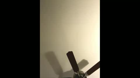 sissynovaholes online show from 01/04/25, 02:56